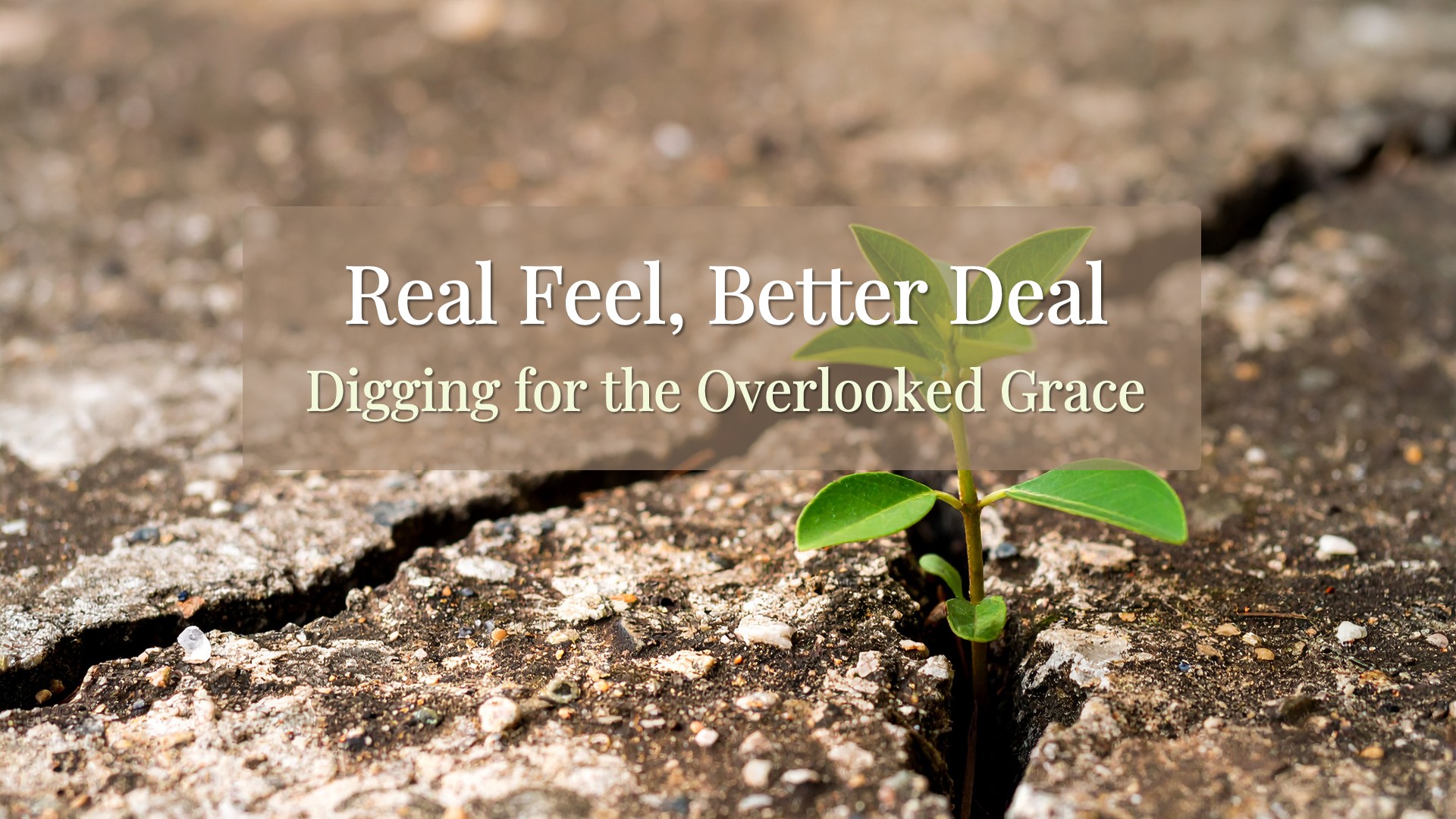 Real Feel, Better Deal